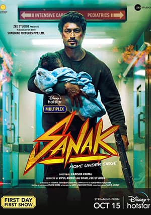 Sanak (2021) WEB-DL Hindi Full Movie 480p [400MB] | 720p [1GB] | 1080p [2.8GB] | 2160p [16GB]