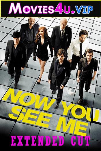 Now You See Me (2013) BluRay [Extended Cut] Dual Audio {Hindi-English} 480p [400MB] | 720p [1.2GB] | 1080p [3.2GB]