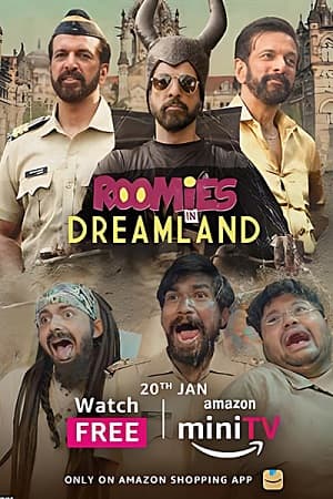 Roomies (Season 1 – 4) Hindi Complete [Amazon Prime Video] WEB Series 480p | 720p | 1080p WEB-DL