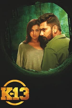 K 13 (2019) UNCUT Dual Audio [Hindi ORG. + Tamil] WEB-DL 480p [430MB] | 720p [1.2GB] | 1080p [2.5GB]