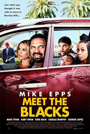 Meet the Blacks (2016) BluRay Dual Audio {Hindi-English} 480p [350MB] | 720p [800MB] | 1080p [2GB]