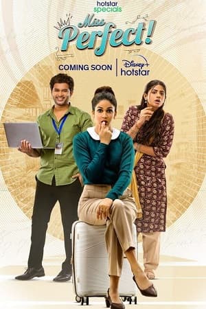 Miss Perfect (2024) Season 1 Dual Audio {Hindi DD5.1 + Telugu} Hotstar Special WEB Series 480p | 720p | 1080p WEB-DL