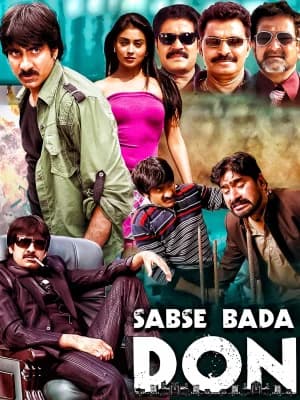 Sabse Bada Don - Don Seenu (2010) BluRay Dual Audio [Hindi ORG. + Telugu] Full Movie 480p [550MB] | 720p [1.4GB] | 1080p [3.4GB]