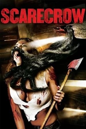 Scarecrow (2013) BluRay Dual Audio [Hindi ORG. + English] Full Movie 480p [310MB] | 720p [1GB] | 1080p [1.8GB]