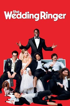 The Wedding Ringer (2015) BluRay Dual Audio [Hindi ORG. + English] Full Movie 480p [450MB] | 720p [1GB] | 1080p [2.3GB]