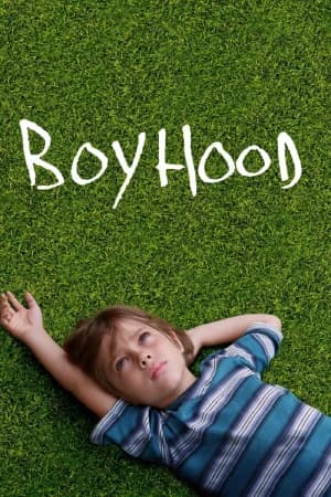 Boyhood (2014) BluRay Dual Audio [Hindi ORG. + English] Full Movie 480p [550MB] | 720p [1.5GB] | 1080p [3.9GB]