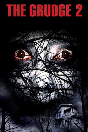 The Grudge 2 (2006) BluRay Dual Audio [Hindi ORG. + English] Full Movie 480p [350MB] | 720p [1GB] | 1080p [2GB]